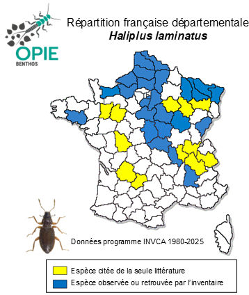 Carte de distribution de Haliplus laminatus (Schaller, 1783)