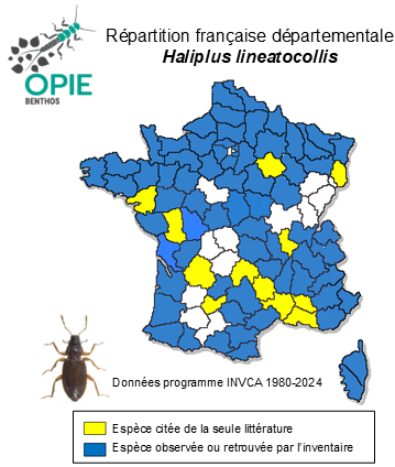 Carte de distribution de Haliplus lineatocollis (Marsham, 1802)
