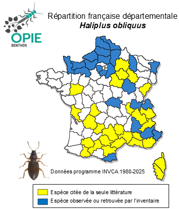 Carte de distribution de Haliplus obliquus  (Fabricius, 1787)