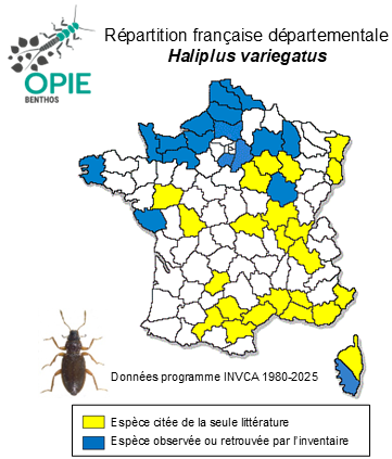 Carte de distribution de Haliplus variegatus Sturm, 1834
