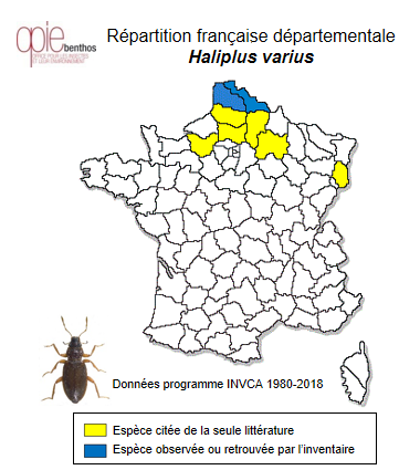 Carte de distribution de Haliplus varius Nicolaï, 1822
