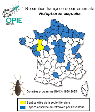 Carte de distribution de Helophorus aequalis Thomson, 1868