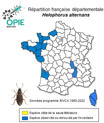 Carte de distribution de Helophorus alternans Gené, 1836