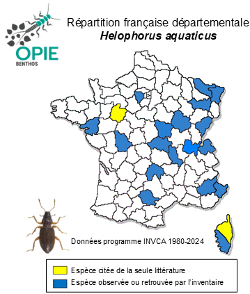 Carte de distribution de Helophorus aquaticus (Linnaeus, 1758)