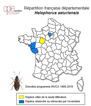 Carte de distribution de Helophorus asturiensis Kuwert, 1885