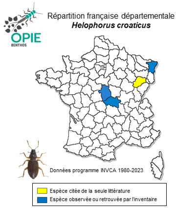 Carte de distribution de Helophorus croaticus Kuwert, 1886