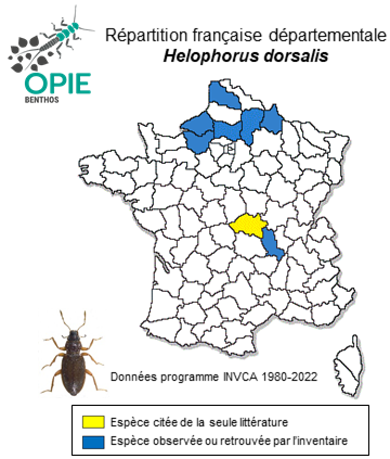 Carte de distribution de Helophorus dorsalis (Marsham, 1802)