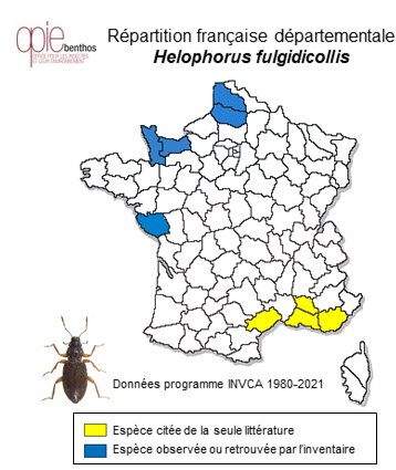 Carte de distribution de Helophorus fulgidicollis Motschulsky, 1860