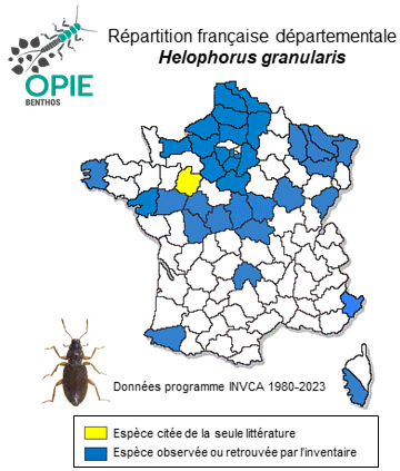 Carte de distribution de Helophorus granularis (Linnaeus, 1761)