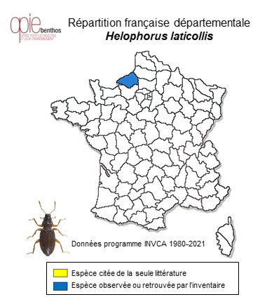 Carte de distribution de Helophorus laticollis Thomson, 1853