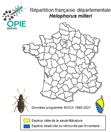 Carte de distribution de Helophorus milleri Kuwert, 1886