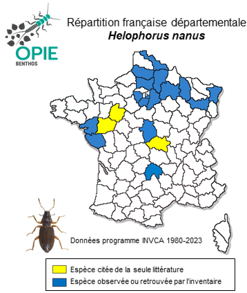 Carte de distribution de Helophorus nanus Sturm, 1836
