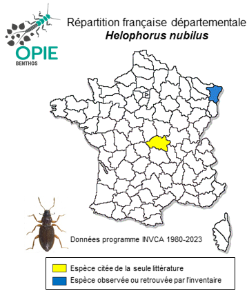 Carte de distribution de Helophorus nubilus Fabricius, 1777