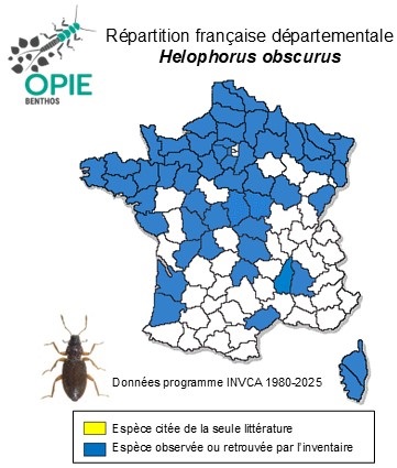Carte de distribution de Helophorus obscurus Mulsant, 1844