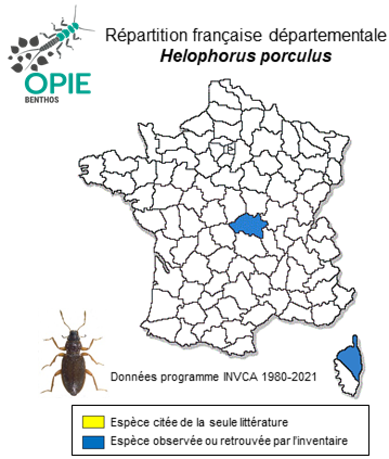 Carte de distribution de Helophorus porculus Bedel, 1881