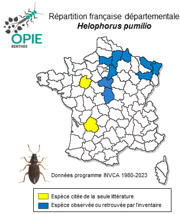 Carte de distribution de Helophorus pumilio Erichson, 1837