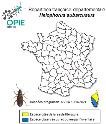Carte de distribution de Helophorus subarcuatus Rey, 1885