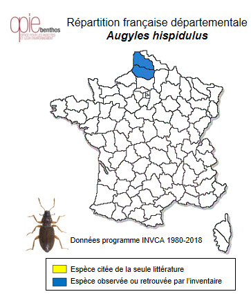 Carte de distribution de Augyles hispidulus (Kiesenwetter, 1843)