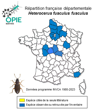 Carte de distribution de Heterocerus fusculus fusculus Kiesenwetter, 1843