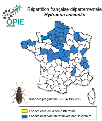 Carte de distribution de Hydraena assimilis Rey, 1885
