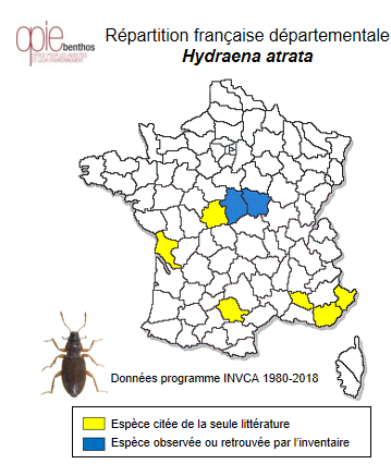Carte de distribution de Hydraena atrata Desbrochers des Loges, 1891