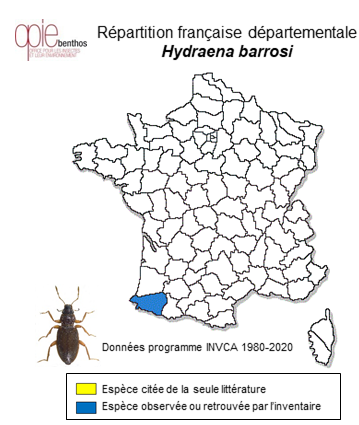 Carte de distribution de Hydraena barrosi Orchymont, 1934
