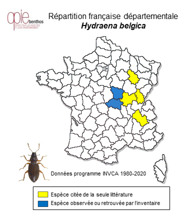 Carte de distribution de Hydraena belgica Orchymont, 1930