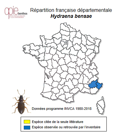 Carte de distribution de Hydraena bensae Ganglbauer, 1901