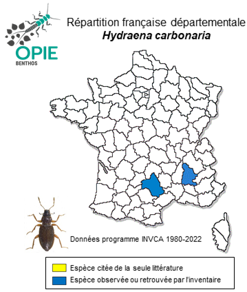 Carte de distribution de Hydraena carbonaria Kiesenwetter, 1849