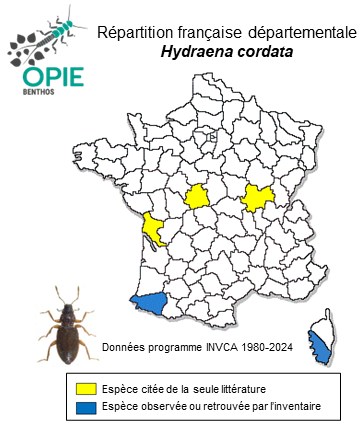 Carte de distribution de Hydraena cordata Schaufuss, 1883