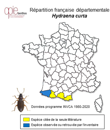 Carte de distribution de Hydraena curta Kiesenwetter, 1849