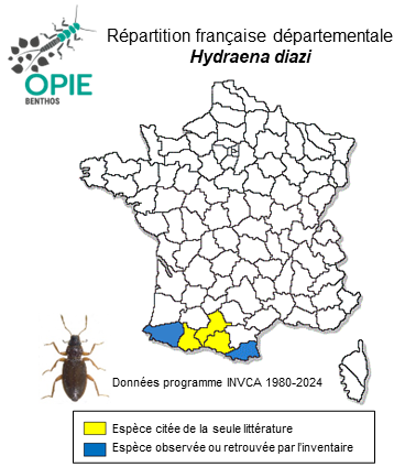Carte de distribution de Hydraena diazi Trizzino, Jäch & Ribera, 2011