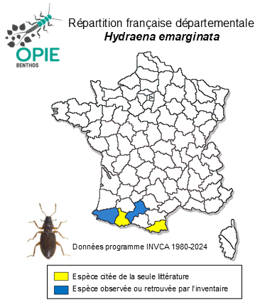 Carte de distribution de Hydraena emarginata Rey, 1885