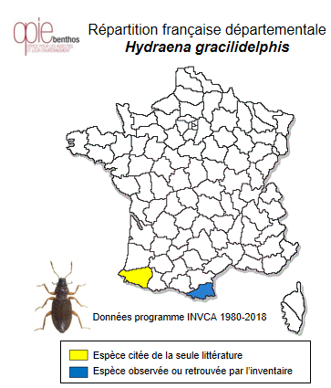 Carte de distribution de Hydraena gracilidelphis Trizzino, Valladares, Garrido  & Audisio, 2012