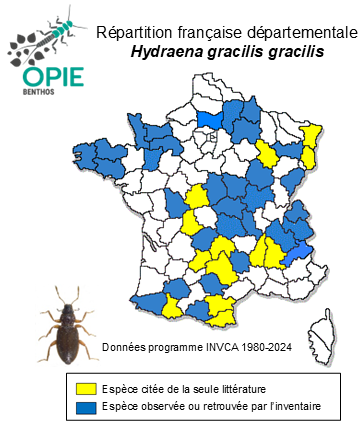 Carte de distribution de Hydraena gracilis gracilis Germar, 1824