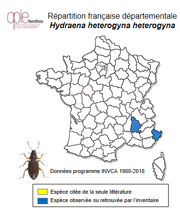Carte de distribution de Hydraena heterogyna heterogyna Bedel, 1898