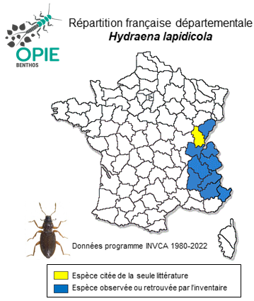 Carte de distribution de Hydraena lapidicola Kiesenwetter, 1849