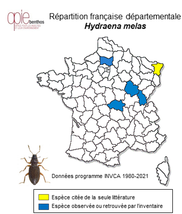 Carte de distribution de Hydraena melas Dalla Torre, 1877