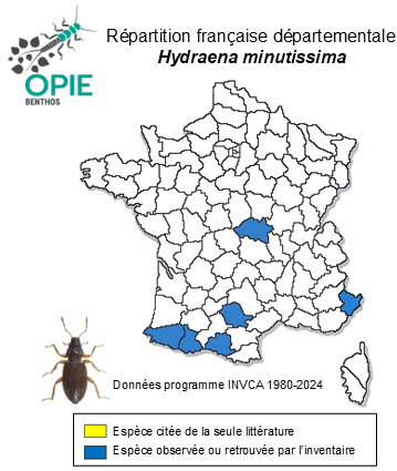 Carte de distribution de Hydraena minutissima Stephens, 1829