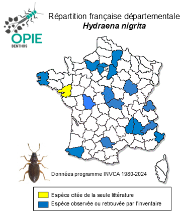 Carte de distribution de Hydraena nigrita Germar, 1824