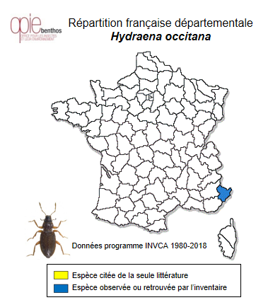 Carte de distribution de Hydraena occitana Audision & De Biase, 1995