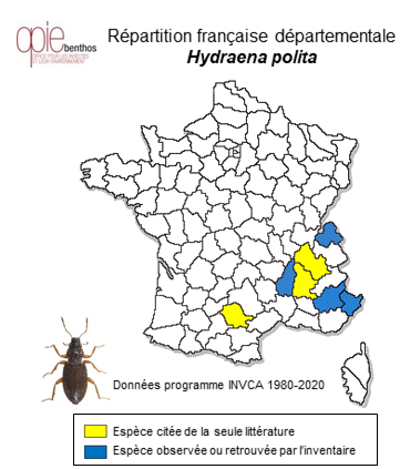 Carte de distribution de Hydraena polita Kiesenwetter, 1849
