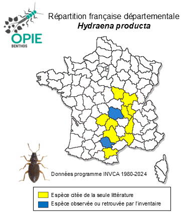 Carte de distribution de Hydraena producta Mulsant & Rey, 1852