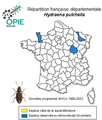 Carte de distribution de Hydraena pulchella Germar, 1824