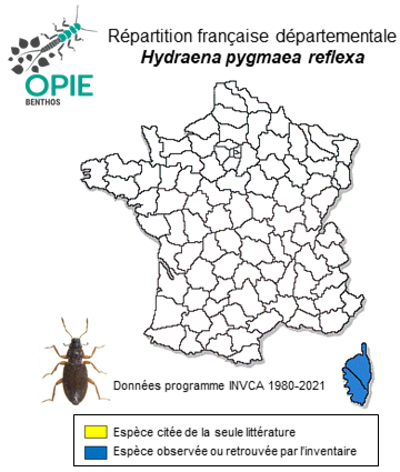 Carte de distribution de Hydraena pygmaea reflexa Rey, 1884