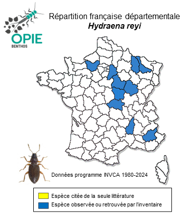 Carte de distribution de Hydraena reyi Kuwert, 1888