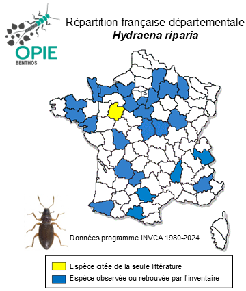 Carte de distribution de Hydraena riparia Kugelann, 1794