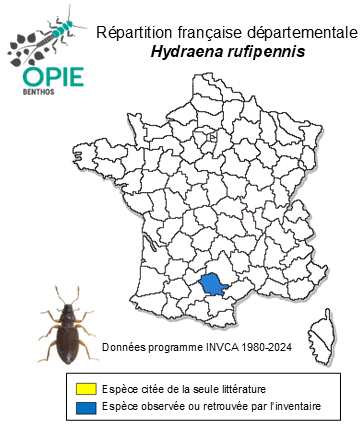Carte de distribution de Hydraena rufipennis Bosca Berga, 1932