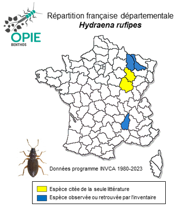 Carte de distribution de Hydraena rufipes Curtis, 1830