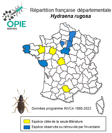 Carte de distribution de Hydraena rugosa Mulsant, 1844